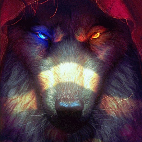 Meet your Posher, Sabrina - Picture 1 of 1